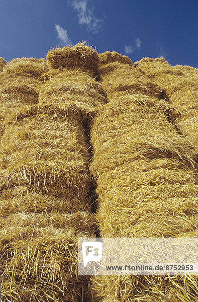 Stack of Bales of Hay