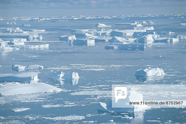 Antarctica Petersen Bank icebergs