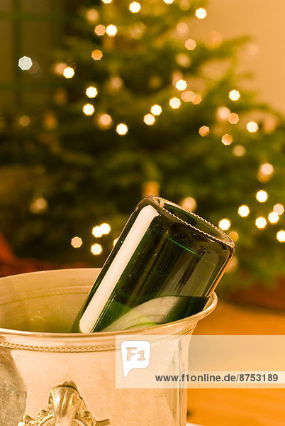 Leere Flasche Champagner in Kühler mit Weihnachtsbaum im Hintergrund