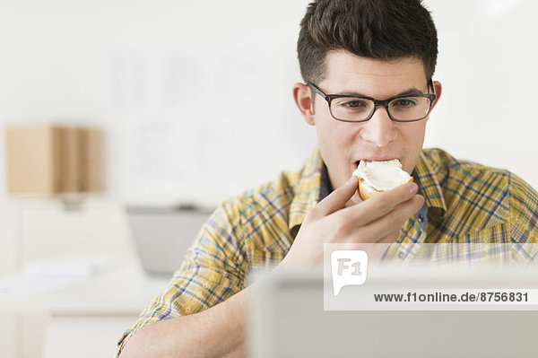 benutzen  Mann  Notebook  Sandwich  jung  essen  essend  isst