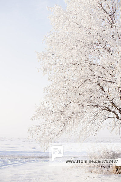 Winterlandschaft