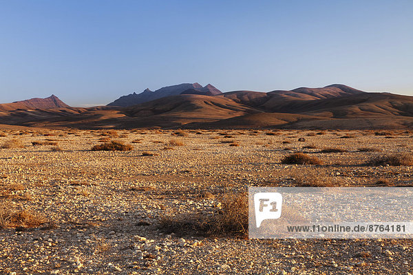 Wüstenhafte Landschaft  Istmo de la Pared  Fuerteventura  Kanarische Inseln  Spanien