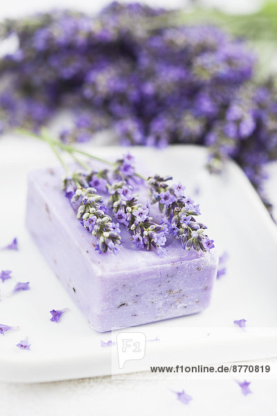 Lavender (Lavendula) on white towel,  lavender soap on soap basket