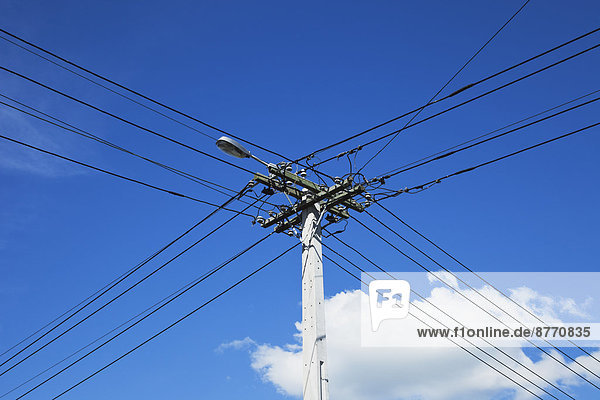 Neuseeland  Auckland  Stromleitungen  Elektrizität