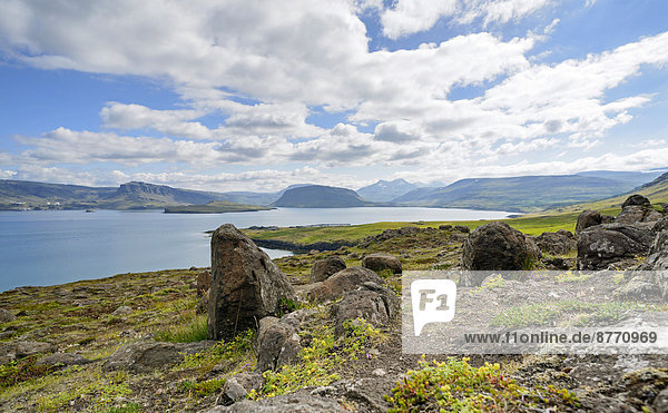 Iceland Vestfiroir Ocean bay