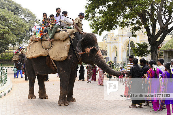 Tourists riding an elephant  Mysore Palace  Mysore  Karnataka  South India  India