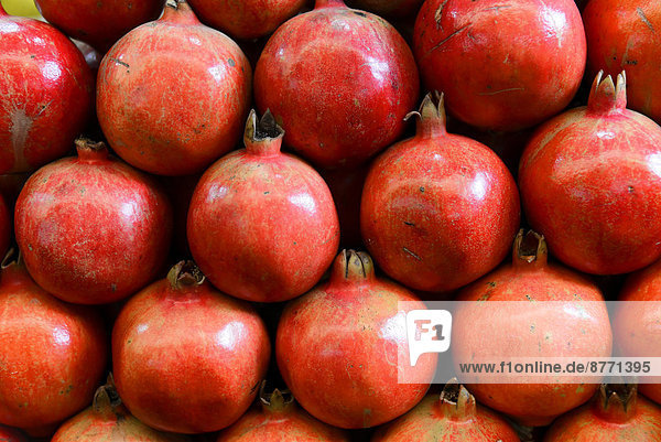 Pomegranates (Punica granatum) for sale  Mysore  Karnataka  South India  India