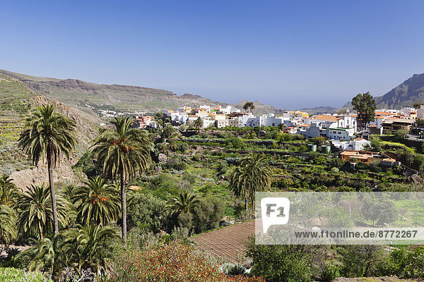 Kanaren Kanarische Inseln Gran Canaria Spanien