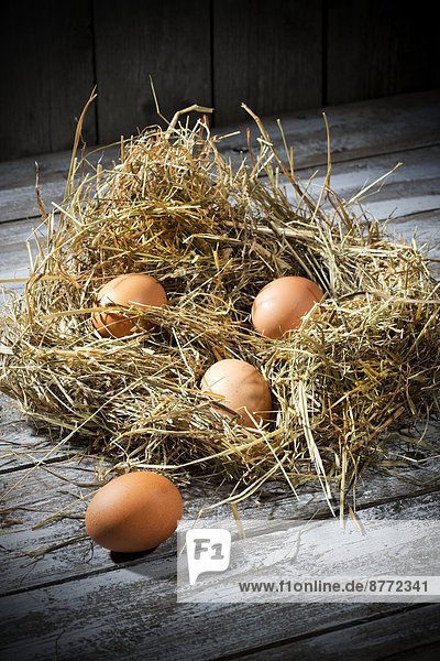 Easter nest and four brown eggs on grey wooden table