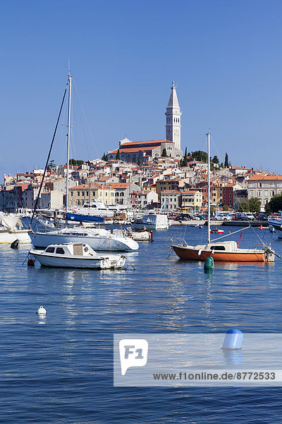 Harbour and historic town centre with the tower of the Parish Church of St. Euphemia  Rovinj  Istria  Croatia