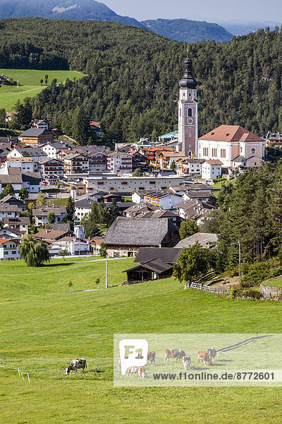 Ortsansicht Kastelruth  Schlerngebiet  Südtirol  Italien