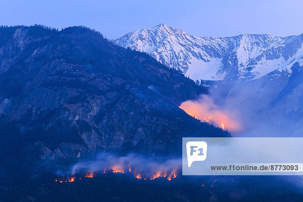 Forest fire on Mt Hochmahdkopf  Tyrol  Austria