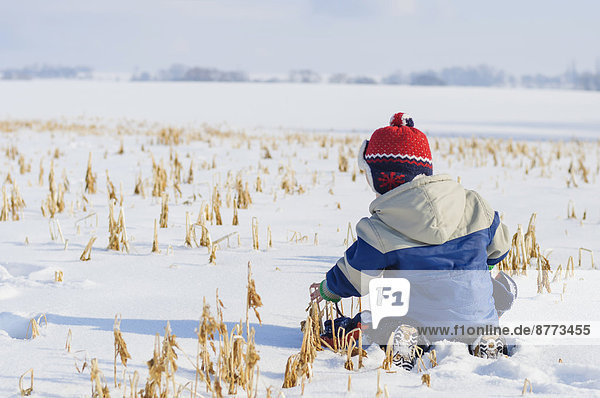 Deutschland  kleiner Junge mit Spaß im Schnee