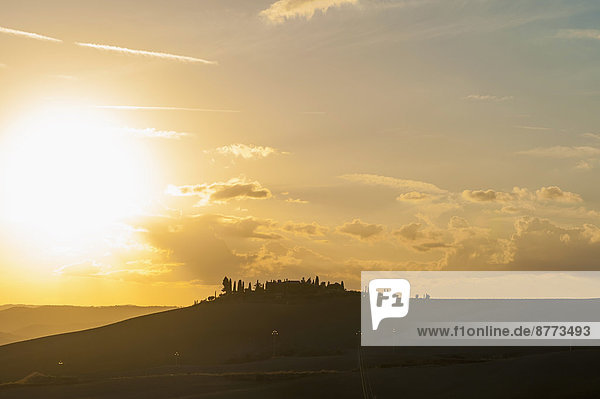 Italien  Toskana  Val d'Orcia  Rollende Landschaft bei Sonnenuntergang