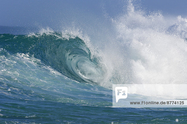 USA  Hawaii  Oahu  wave at the North shore