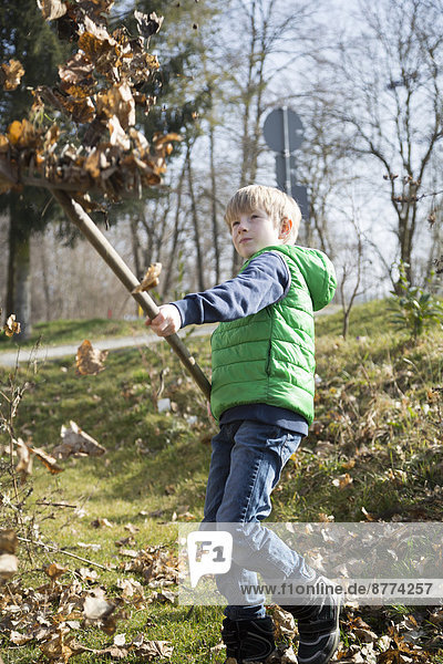 Boy with rake throwing autumn foliage in the air