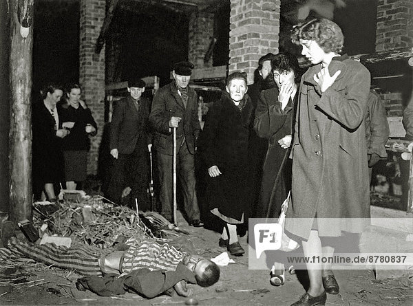WW II  historical  war  world war  second world war  Germany  inhabitant  resident  visit  Ludwigslust  concentration camp  KZ  1945  corpses  bodies  dead people  Jews  Nazi  National Socialist