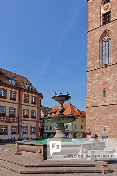 Europe  Germany  Rhineland-Palatinate  Neustadt an der Weinstrasse  wine route  Neustadt  marketplace  market well  city hall  church  architecture  well  building  construction  historical  church  lanterns  people  persons  town  place of interest  animals  tourism  birds  water  clock