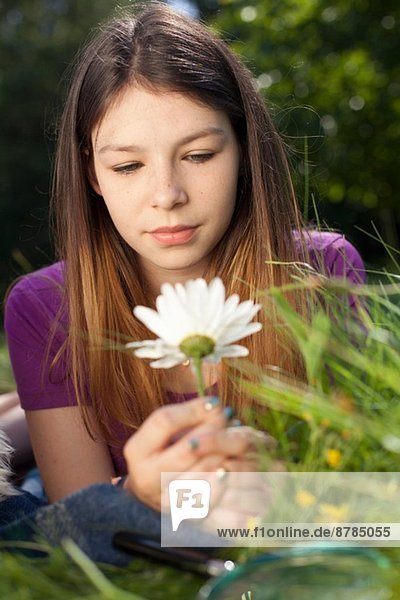 Teenager-Mädchen im Gras liegend mit Blick auf ein Gänseblümchen