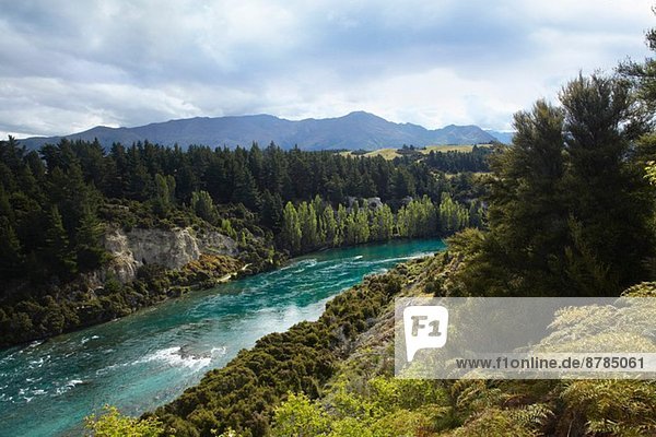 Blick auf Fluss  Wald und Berge  Neuseeland