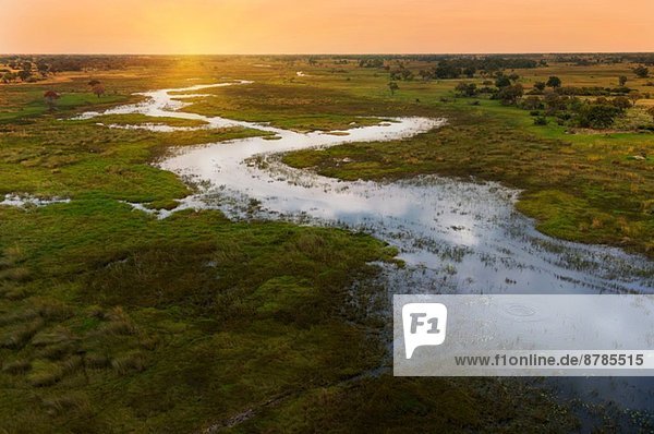 Sonnenuntergang am Okavango Delta  Chobe Nationalpark  Botswana  Afrika