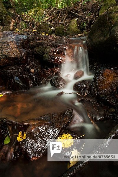 Verschwommener Wasserfall mit Herbstblättern auf Felsen