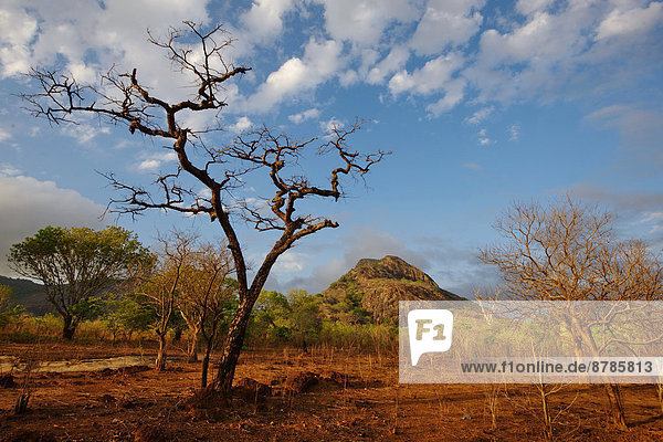 Felsbrocken  Anordnung  Zimmer  Afrika  auftauchen  Mosambik