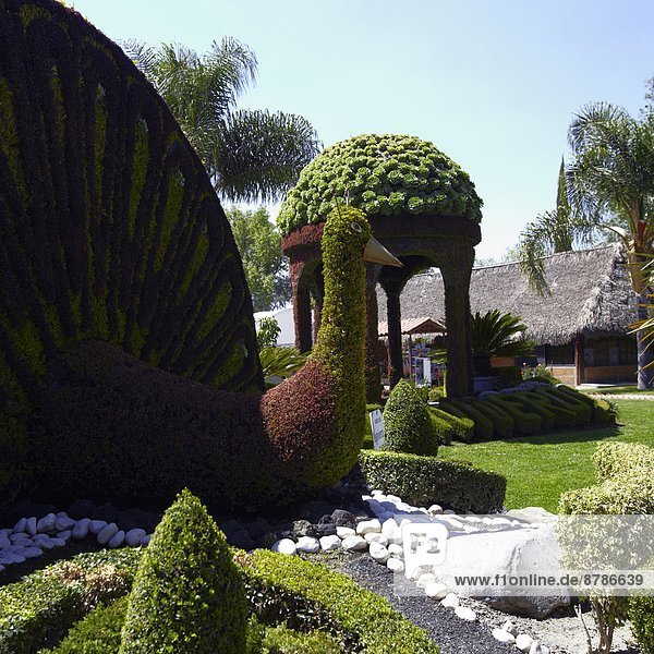 América  Mexico  Puebla state  Atlixco village   Megaviveros: a gardening center  sculptures made by plants                                                                                             