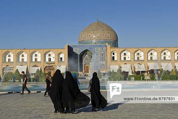 Iran  Isfahan  Imam square  Sheikh Lotfollah mosque                                                                                                                                                     