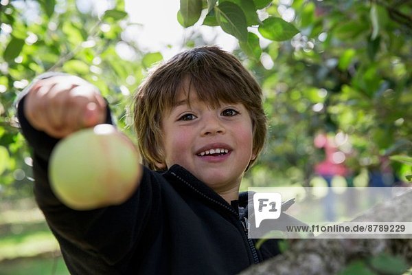 Porträt eines Jungen mit frisch gepflücktem Apfel
