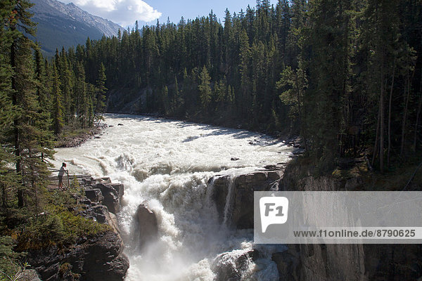 Nationalpark  Landschaftlich schön  landschaftlich reizvoll  Wasser  Landschaft  Fluss  Nordamerika  Wasserfall  Rocky Mountains  Jasper Nationalpark  Alberta  Kanada