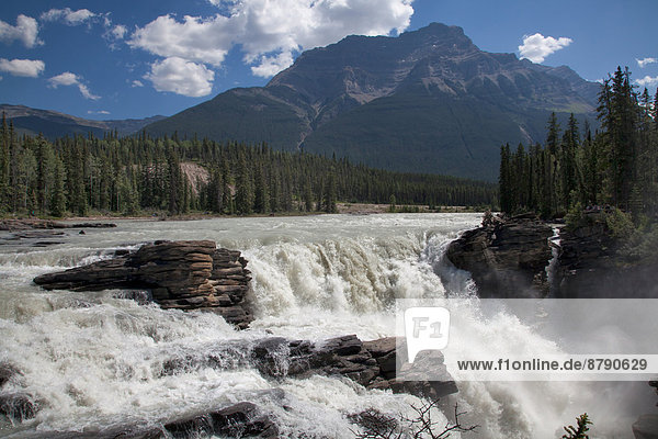 Nationalpark  Landschaftlich schön  landschaftlich reizvoll  Wasser  Berg  Landschaft  Fluss  Nordamerika  Wasserfall  Rocky Mountains  Jasper Nationalpark  Alberta  Kanada
