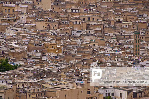 Nordafrika Fès Fez Dach Wohnhaus Gebäude Altstadt Afrika Fes Marokko