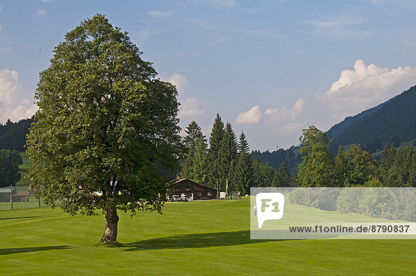 Europa  Boden  Fußboden  Fußböden  Alpen  Golfsport  Golf  Bayern  Deutschland  Oberstdorf