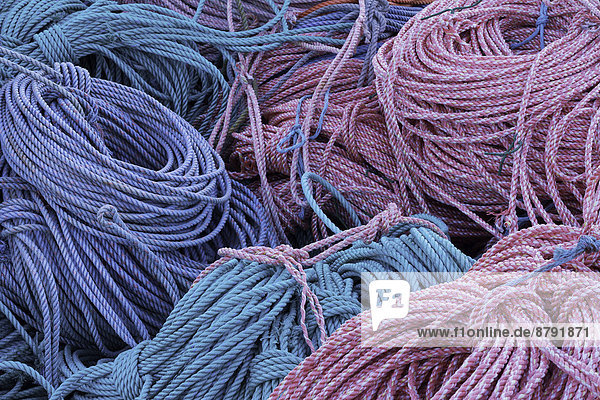 Prisma Rope rope, coil, coiled, coils, pattern, colour, dock, harbor, harbour ...