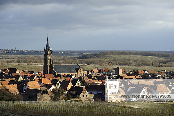 City of Dambach-la-Ville  City Center  Vine yards  Bas-Rhin Department  Alsace  France  Europe