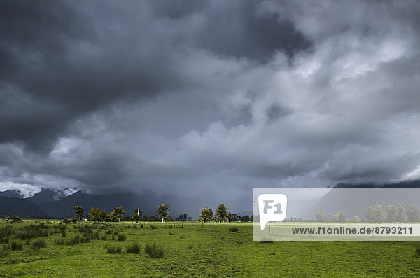 Weideland mit Gewitterwolken und Regenschauer  Südinsel  Neuseeland