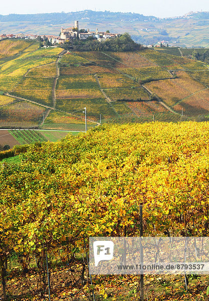 Wein Hügel Dorf Italien Langhe Piemont