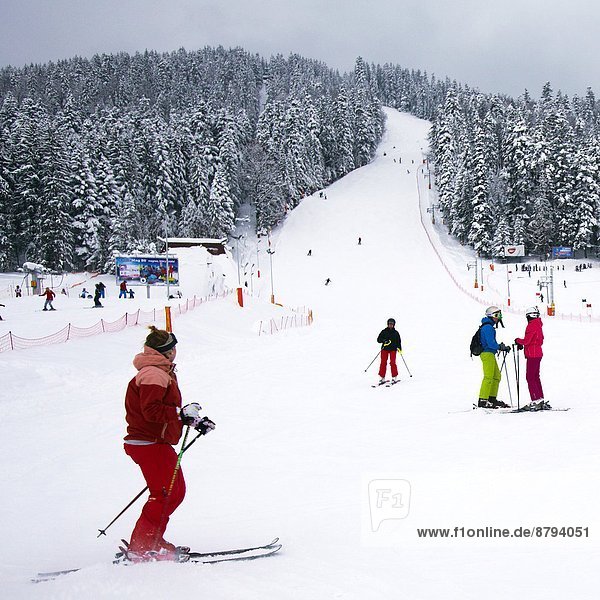 Europe  Poland  Malopolska province  Zakopane city  ski slope                                                                                                                                           