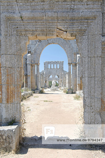 Die Ruinen der Qal?at Sim?an oder Kirche des Heiligen Simeon Stylites Palmyra Distrikt Palmyra Gouvernement Homs Syrien
