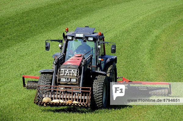Traktor mit Cambridgewalze bei der Arbeit auf einem grünen Feld im Frühjahr Snårestad Ruuthsbo Schonen Schweden