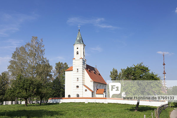 Dreieinigkeitskirche  Buxach  Unterallgäu  Schwaben  Bayern  Deutschland