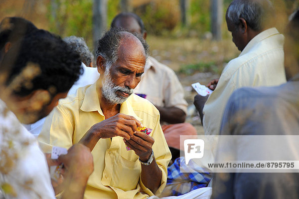 Men playing cards  Kerala  South India  India