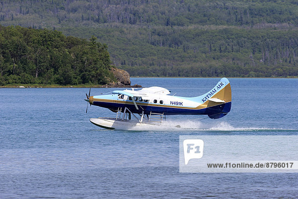 Wasserflugzeug,  auf dem Wasser,  startet,  King Salmon,  Alaska,  USA