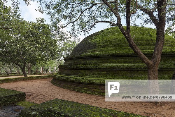 Kuppel  Gebäude  Ruine  Form  Formen  fünfstöckig  Buddhismus  UNESCO-Welterbe  Asien  Kuppelgewölbe  Polonnaruwa  Sri Lanka