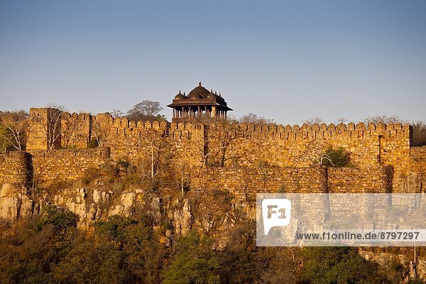 Festung  Islam  Rajasthan