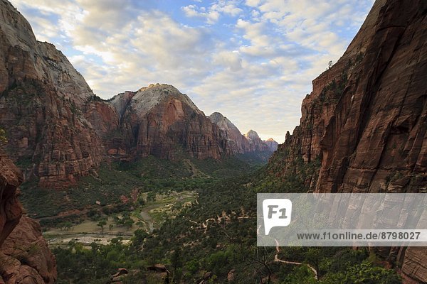 Vereinigte Staaten von Amerika  USA  folgen  Morgendämmerung  Nordamerika  Ansicht  Engel  landen  Zion Nationalpark  Schlucht  Utah