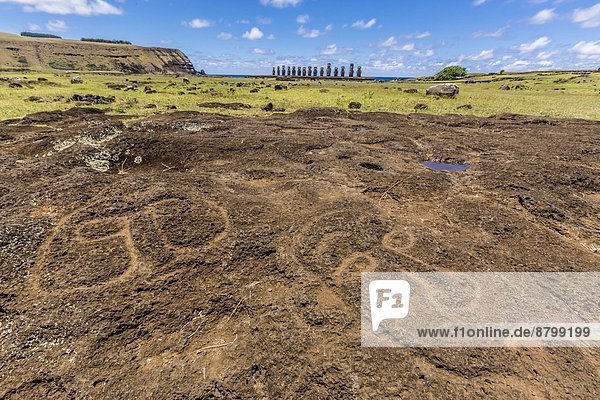 Osterinsel Rapa Nui Lava Zeremonie reparieren Höhlenmalerei schnitzen Raps Brassica napus UNESCO-Welterbe Chile Moai Südamerika
