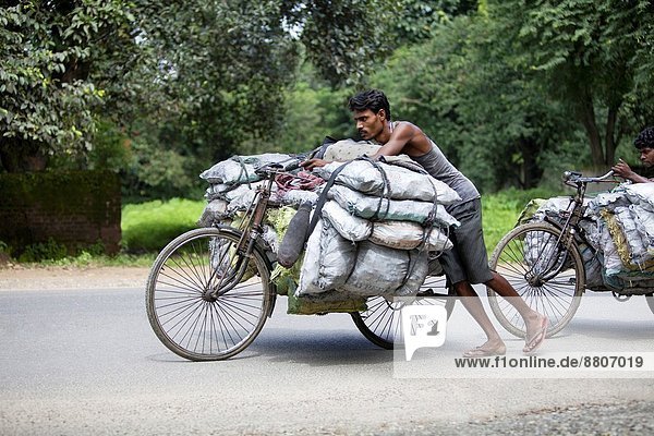 Mann  tragen  Stadt  Dorf  Fahrrad  Rad  Kohle  Volksstamm  Stamm  Indien