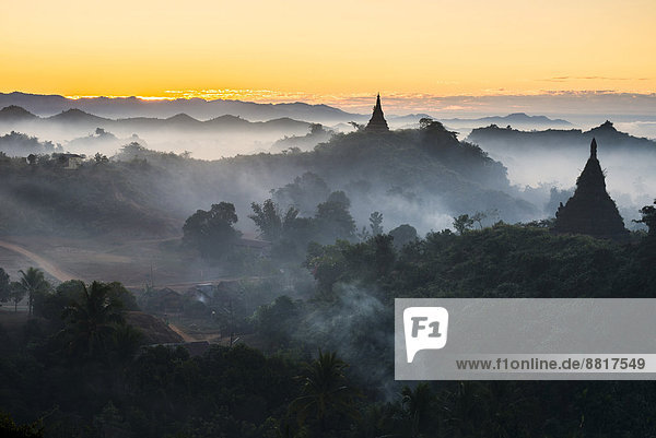 Pagodas surrounded by trees in the mist Mrauk U Sittwe District Rakhine State Myanmar